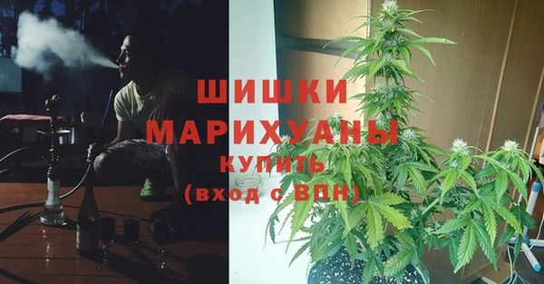 молекула духа Гусь-Хрустальный