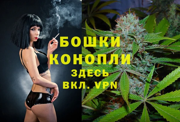 jwh Гусев